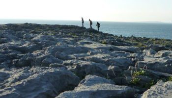 The Burren in Clare has one of a kind wildlife and landscapes as seen on our Gardens and Park Tours of Ireland