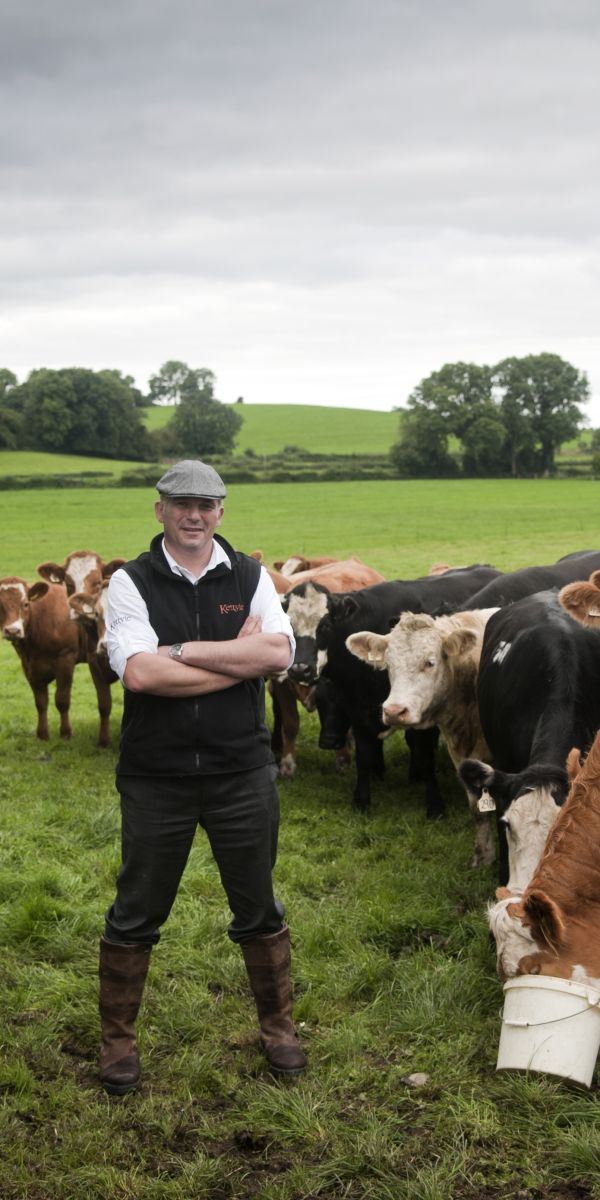 Beef Farm Tours by Discover Ireland Tours Destination Management Company