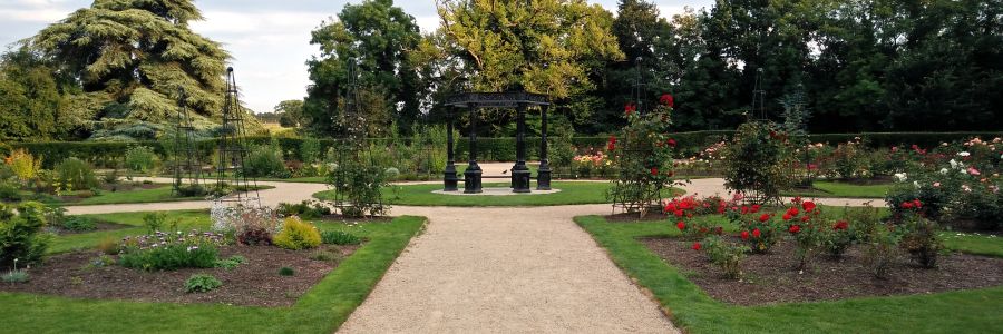 Corkagh Park Rose Garden in Dublin Ireland.