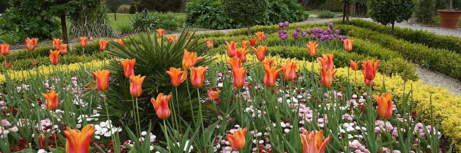 Flower Garden in Muckross House in County Kerry Ireland