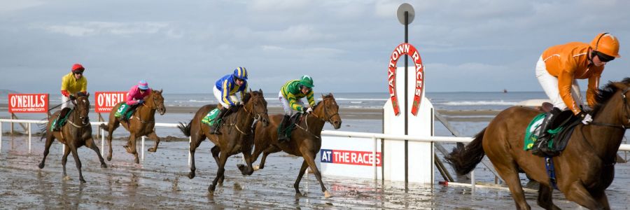 Special interest agricultural tours of Ireland, Laytown - County Meath