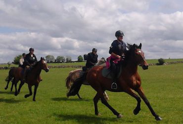 Dartfield Equestrian Centre, Co Galway