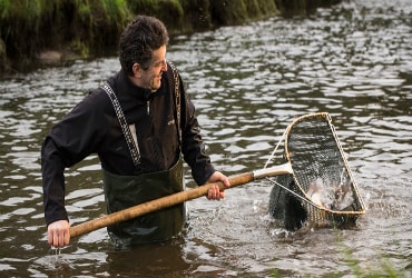 Goatsbridge Trout Farm, Thomastown, Co. Kilkenny